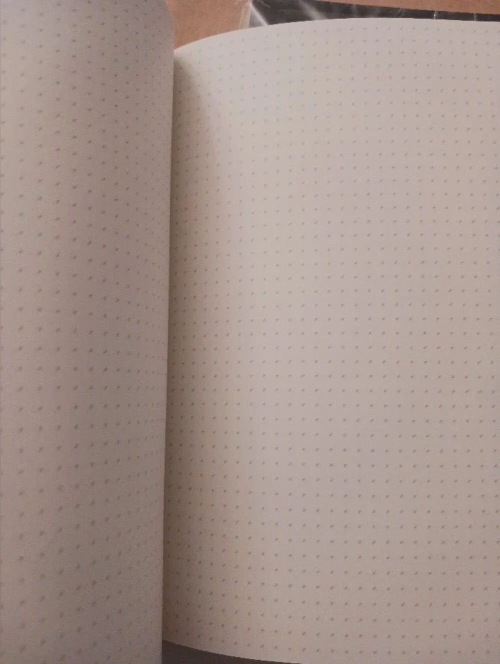 ODD?? A5 Dotted Journal - 